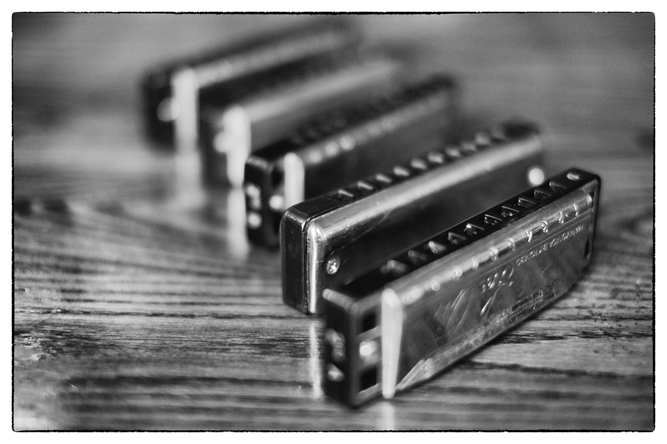 Est-il facile d'apprendre à jouer de l'harmonica ?